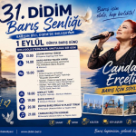 31didimsenligi-afis