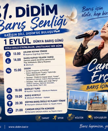 31didimsenligi-afis