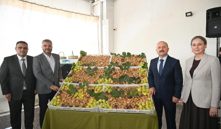Dünyanın en kalitelisi… Nazilli incirinde yeni sezon açıldı