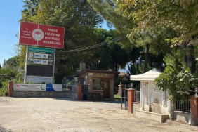 pamukarastirmaenstitüsü